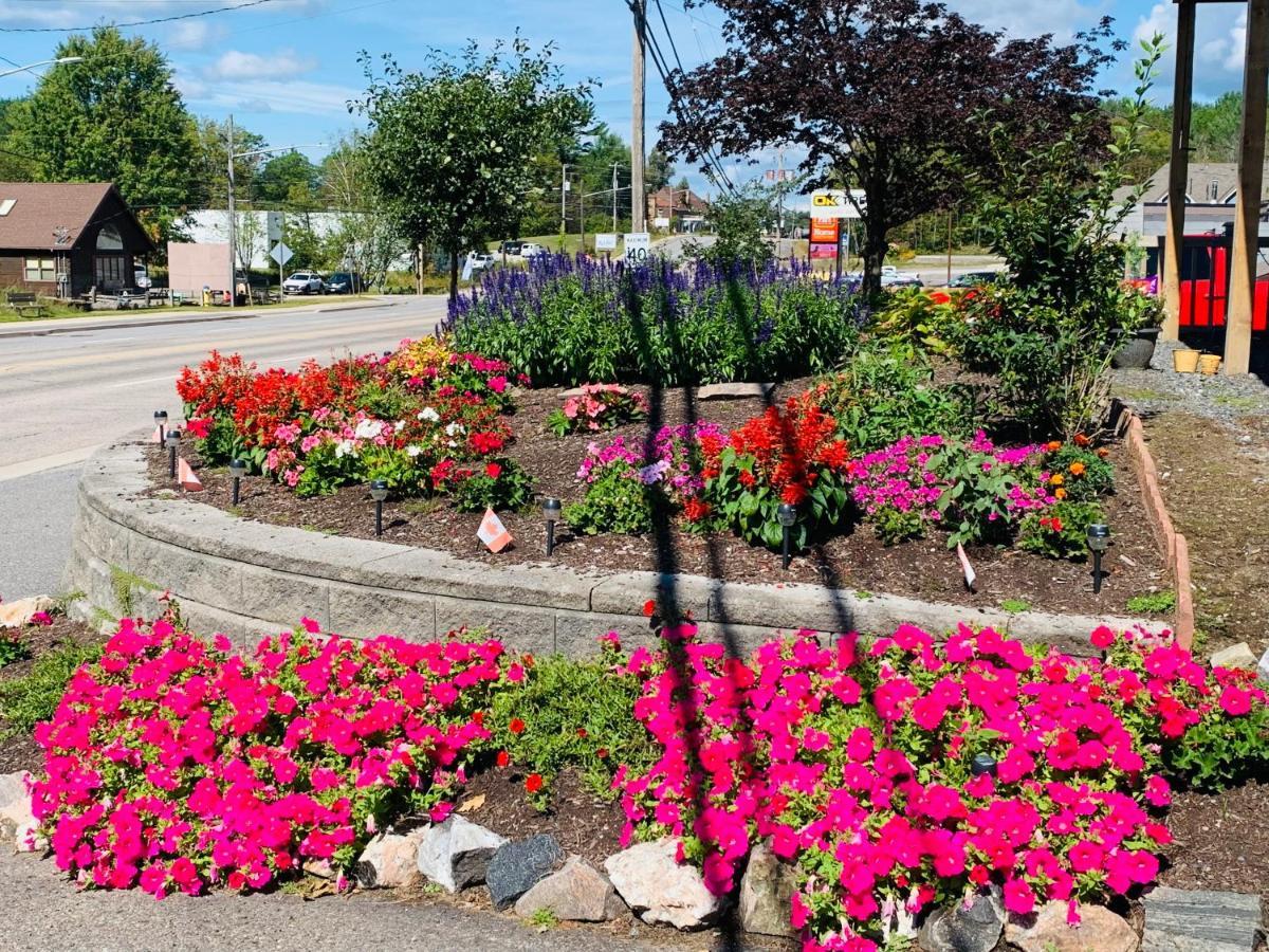 Town & Country Motel Parry Sound Exterior foto